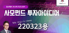 사모펀드 투자아이디어 220323용